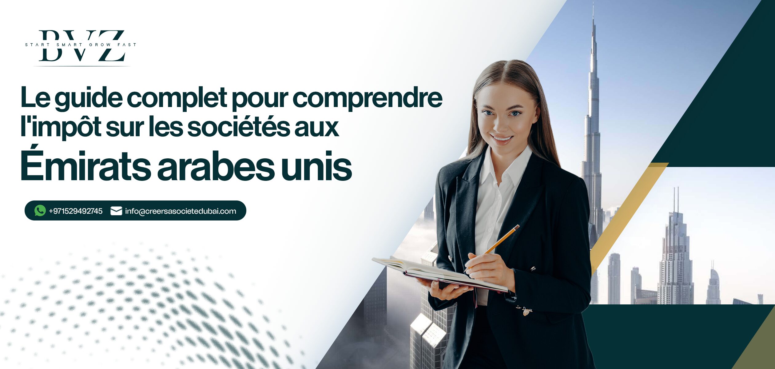 Le guide complet pour comprendre